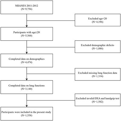 Associations between the muscle quality index and <mark class="highlighted">adult lung</mark> functions from NHANES 2011–2012